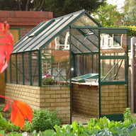 elite 6ft wide dwarf wall greenhouseproductImages/elite/dwarf6/elite 6ft wide dwarf wall greenhouse.jpg