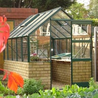 elite 6ft wide dwarf wall greenhouseproductImages/elite/dwarf6/elite 6ft wide dwarf wall greenhouse.jpg