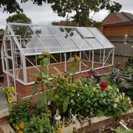Elite 6x12 Dwarf Wall Greenhouse Toughened Glazing in White