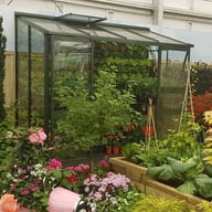 Eden Broadway Lean To Greenhouse Green