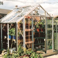 Elite Belmont 8x6 Greenhouse with Double Doors