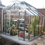 Elite Belmont 8x8 Greenhouse with Bar Capping