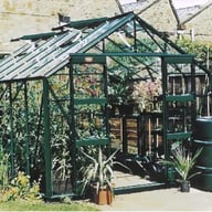 Elite Belmont Greenhouse 12x8 green