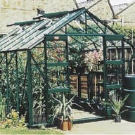Elite Belmont Greenhouse 12x8 green