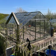 elite classique 12x20 Greenhouse in Olive