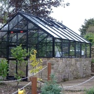 Elite 8x8 Dwarf Wall Greenhouse