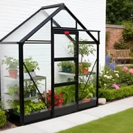 Elite High Eave 6x2 Lean To Greenhouse Powder Coated Black