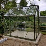 Elite High Eave 8x6 Greenhouse in Olive Green