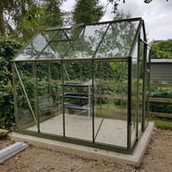 Elite High Eave 8x6 Greenhouse in Olive Green