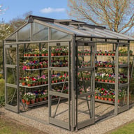 Elite Sanctuary 8 8x10 Greenhouse in Graphite Colour