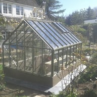 Elite Thyme 8x6 Dwarf Wall Greenhouse in Olive