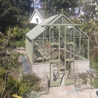 Elite Thyme 8x6 Dwarf Wall in Olive