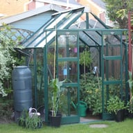 Elite Titan 6x6 Greenhouse in Green Powder Coating