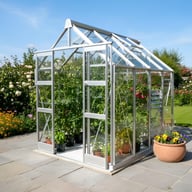 Elite Titan 6x8 Greenhouse