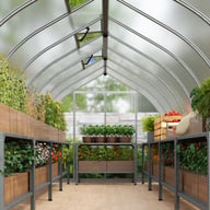 Palram Canopia Bella 8x32 Polycarbonate Greenhouse
