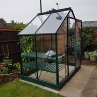 Green 6x4 Vitavia Venus Greenhouse with Toughened Glass