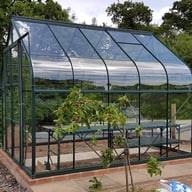 Green 8x10 Vitavia Saturn Greenhouse with Staging