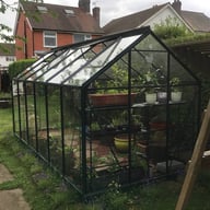 Green Vitavia Venus 6x12 Greenhouse in Toughened Glass