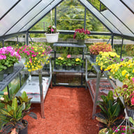 Palram Hybrid Polycarbonate Greenhouse Interior