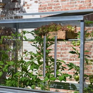 2x4 Access Freestanding Tomato House