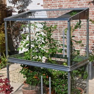 2x4 Access Min Tomato House