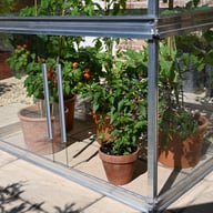 2x4 Access Tomato House Freestanding