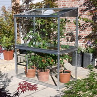 2x4 Access Tomato House