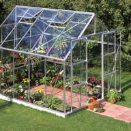 Halls Magnum Silver 8x10 Greenhouse Roof