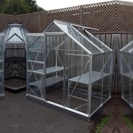 Halls Popular Silver 6x4 Greenhouse Horti