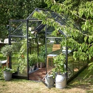 Halls Qube 8x6 Greenhouse Door Open View