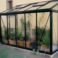 Janssens Arcadia 5x10 Lean To in Green