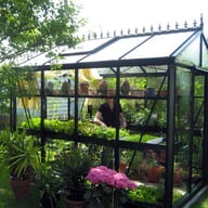 Janssens Helios Master Victorian Greenhouse in Green