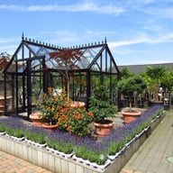 Janssens Junior T Orangery Greenhouse in Black