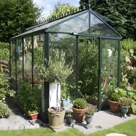 8x10 Janssens Master Victorian Greenhouse