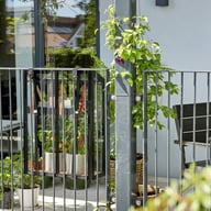 Juliana Balcony Greenhouse Back