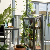 Juliana Balcony Growhouse