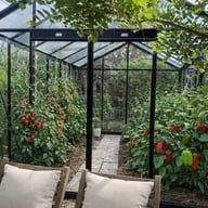 ACD 10x14 Extra High Greenhouse Black - official ACD photograph
