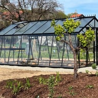 ACD 12x20 Sloping Wall Greenhouse Black - same-width model photograph; different length