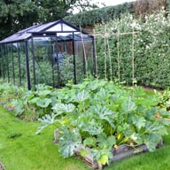 ACD 8x12 Straight Wall Greenhouse Black - official ACD photograph