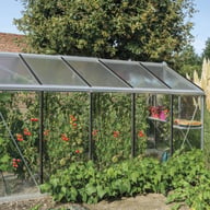 ACD 8x12 Straight Wall Greenhouse Silver - official ACD photograph
