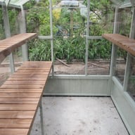 Swallow Robin 5x8 Wooden Greenhouse in Summer Green Staging