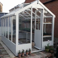 Swallow Kingfisher 6x10 Wooden Greenhouse Cloud Grey