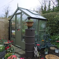 Swallow Kingfisher 6x4 Wooden Greenhouse Bracken