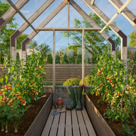 Palmako Emilia S 8x8 Wooden Greenhouse Pressure Treated