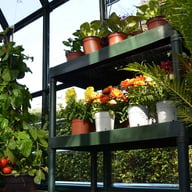 Palram Canopia 2 Tier Greenhouse Staging