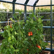 Palram Canopia Trellising Kit Tomatoes