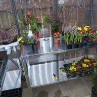 Palram Glory 6x8 Polycarbonate Greenhouse Accessories