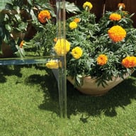 Palram Canopia Clear Panel