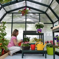 Palram Canopia Hobby Gardener 8x8 Greenhouse with Polycarbonate Glazing and Staging