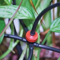 Rion Drip Irrigation Kit